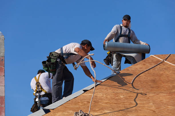 Professional Roofing Contractor in Newcastle, WA