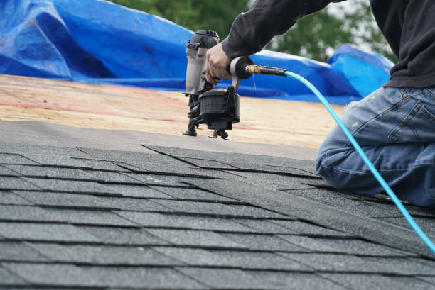 Best New Roof Installation  in Newcastle, WA