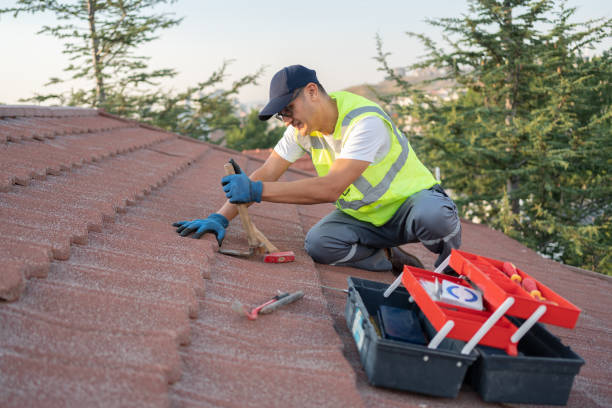 Gutter Installation and Roofing in Newcastle, WA