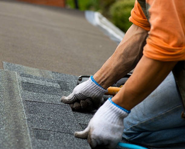 Professional Roofing Contractor in Newcastle, WA